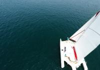 sailing multihull yacht from above